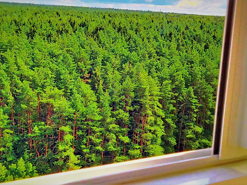 Великолепные апартаменты у озера с видом на лес