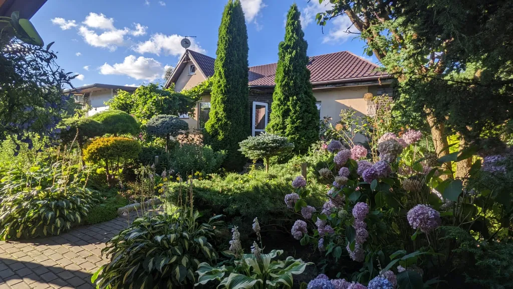 Студия в тихом уголке