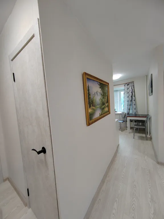 Уютная 1-комнатная квартира после ремонта