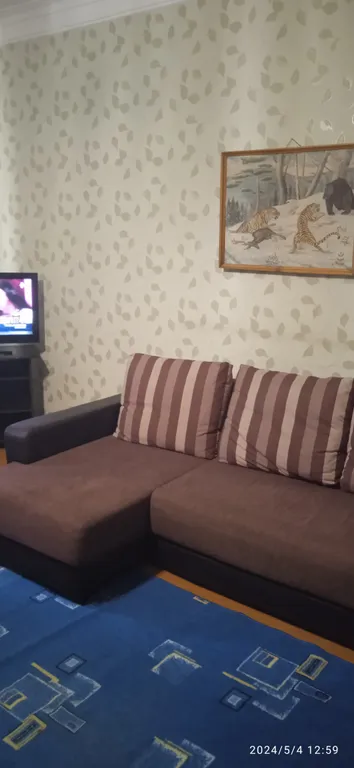 Уютная и просторная 3х комнатная квартира в центре города — аренда посуточно в Октябрьский