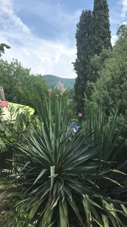 Дом возле Форосского парка