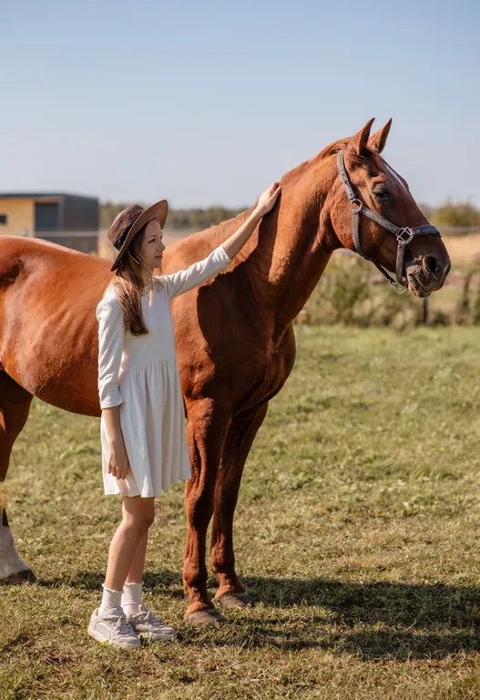 Загородный дом близ Суздаля Загородное пространство