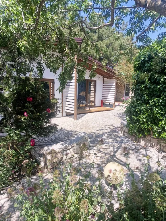 Аппартамент на двоих в соснах у Черного моря