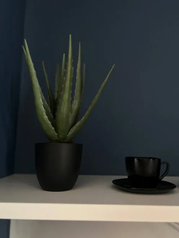 Квартира в историческом центре города с дизайнерским ремонтом