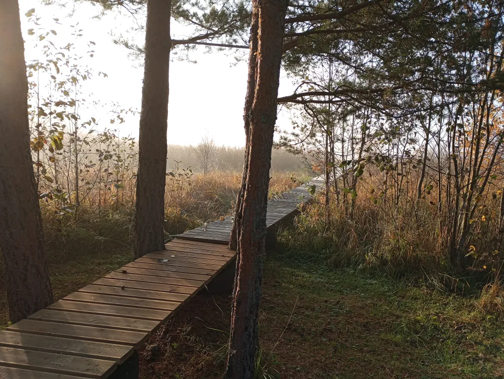 Домик у озера