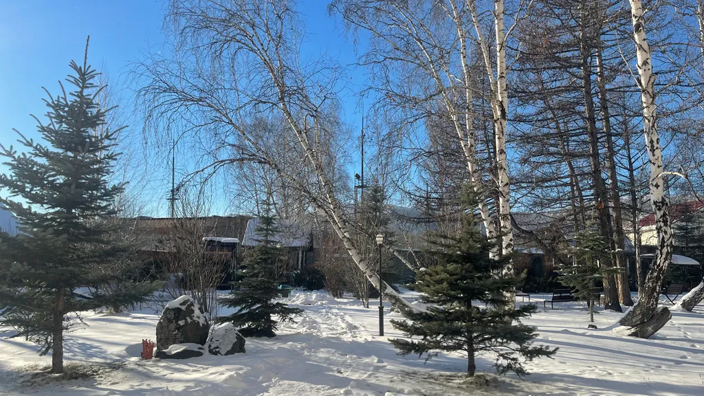 Уютные апартаменты