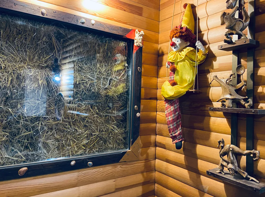 Дом холостяка