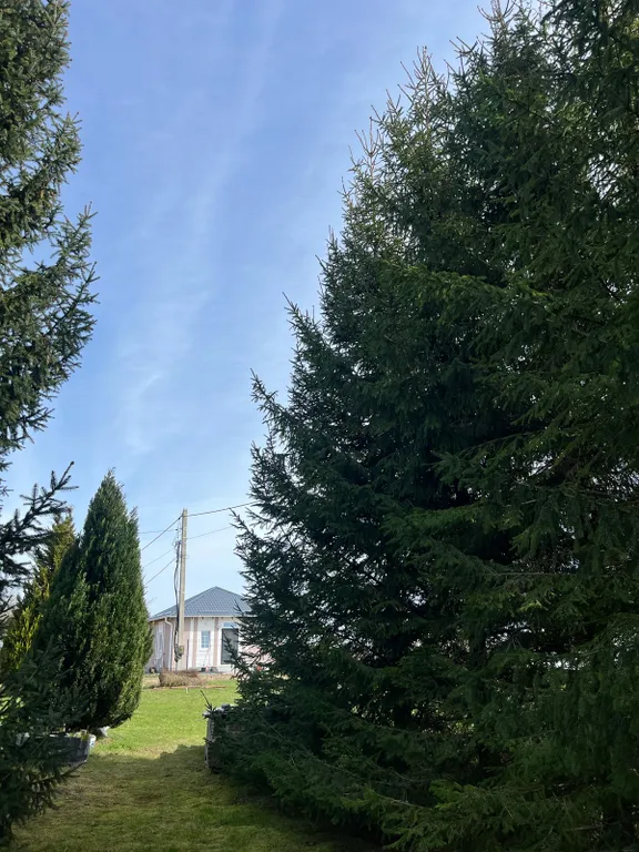 Коттедж Милый дом Лоренс Хаус — Сальское