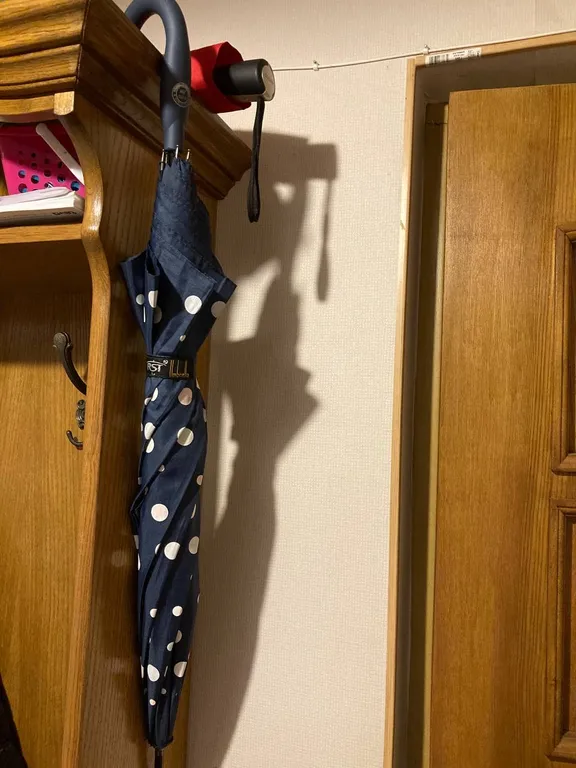 Квартира Уютная квартира в центре — Калининград