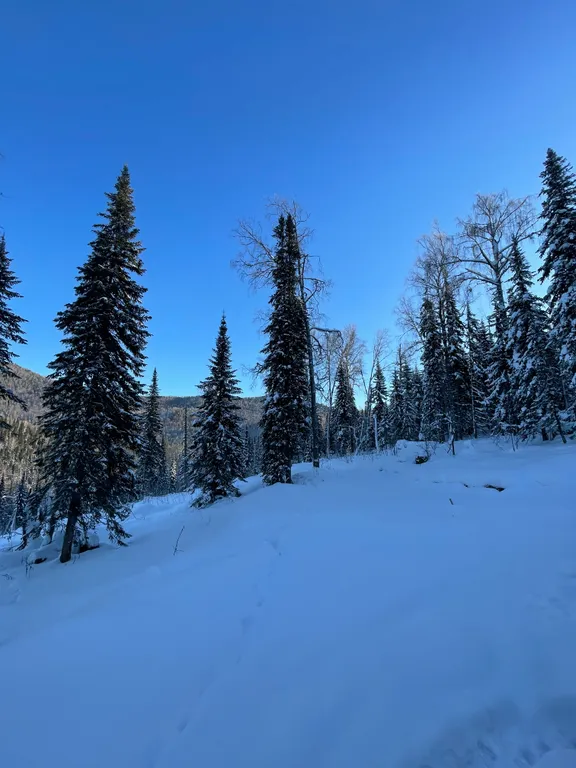 Дом с видом на горы