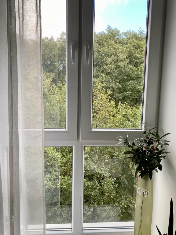 Квартира Квартира Оливковая Ветвь в историческом центре — Светлогорск