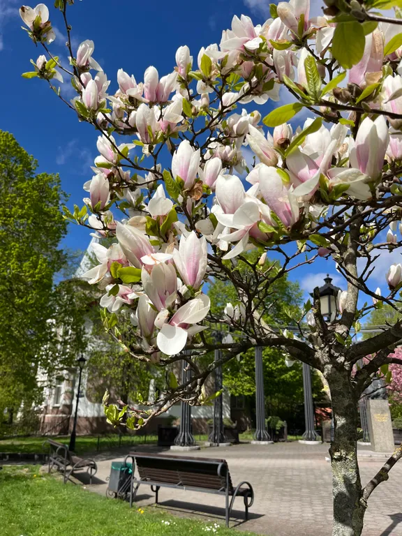 Квартира Апартаменты в историческом центре — Калининград
