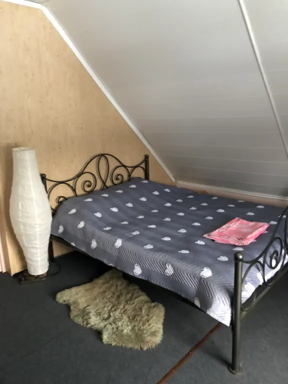 Коттедж Коттедж с баней на дровах для гостей старше 25 лет — Красное Село