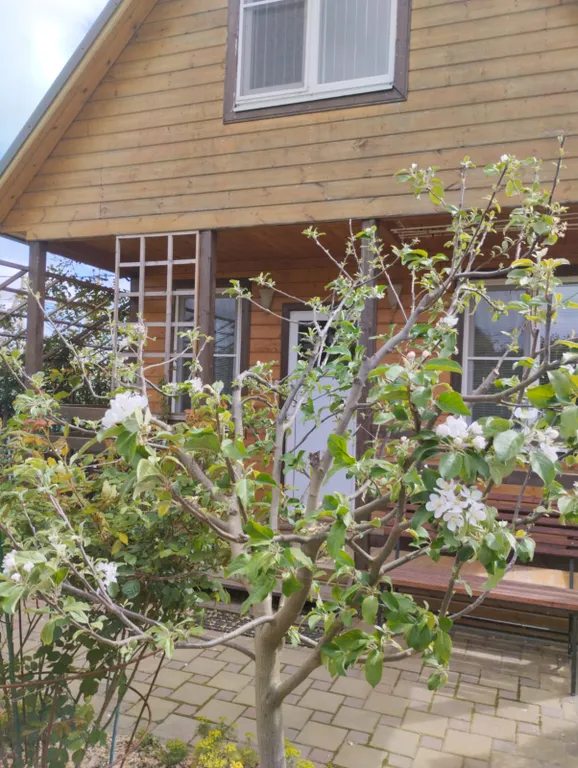 Тихое, спокойное место