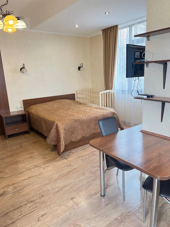 Студия с видом на горы