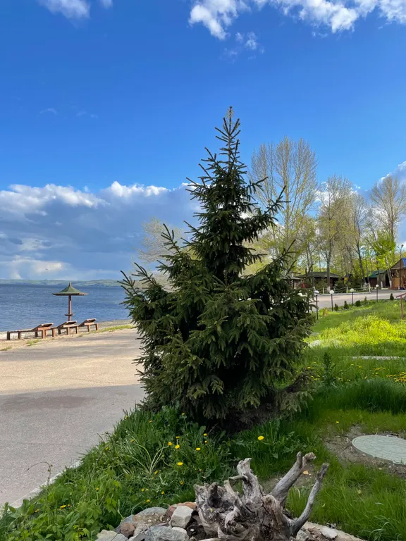 Уютный дом у реки с мангалом