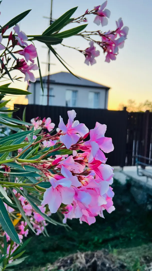 Фото