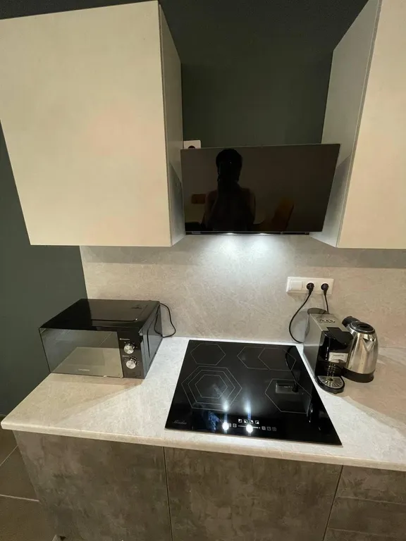 Квартира Большая квартира для 4-12 человек рядом с аэропортом Шереметьево — Москва