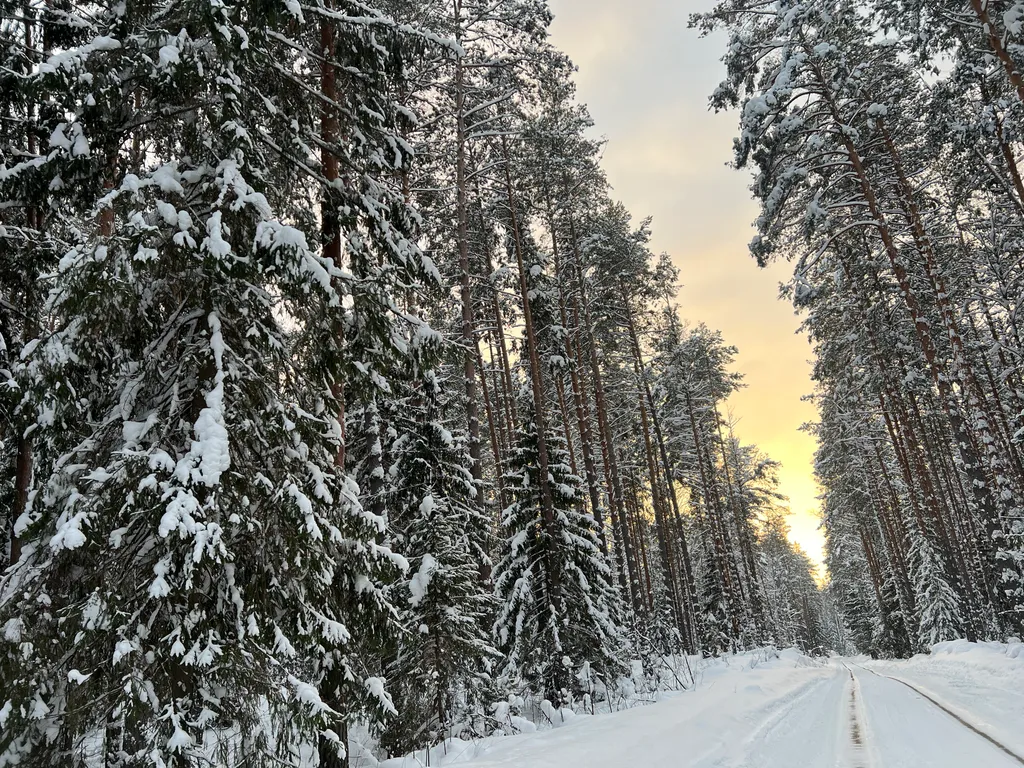 Дом 7 в лесу у реки