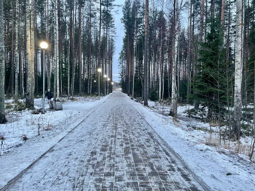 Уютная студия в новом эко-районе Петрозаводска