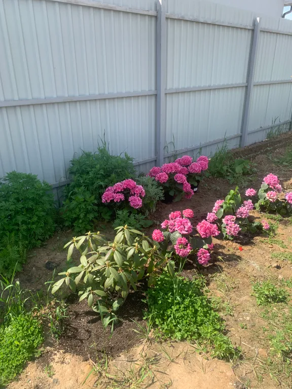 Уютный дом у леса и озера