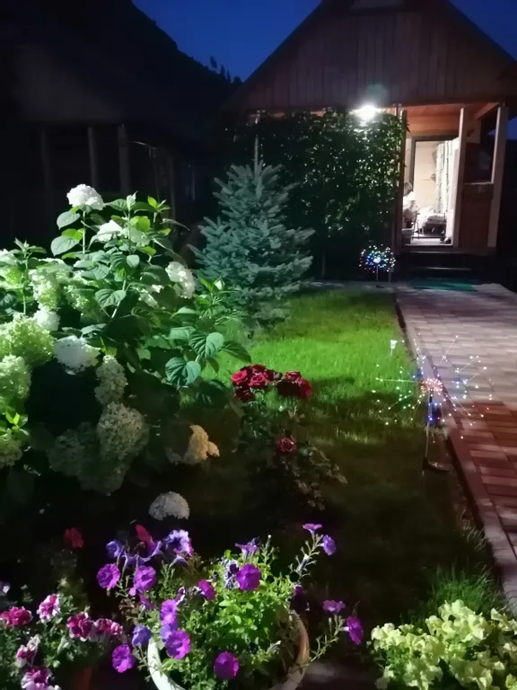 Домик в горах Алтая