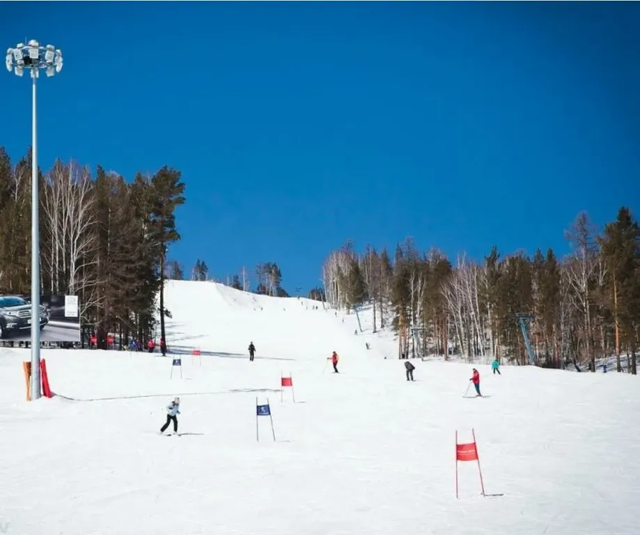 Видовой дом в лесу