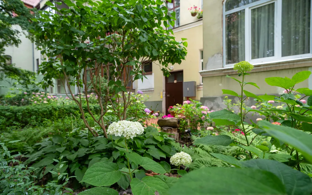 Квартира Уютная квартира — Калининград
