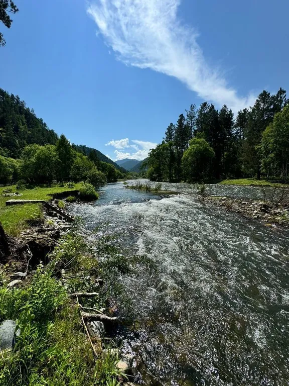 Аил( национальное алтайское жилье)