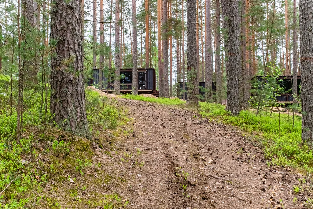 Загородный клуб Радужный лес