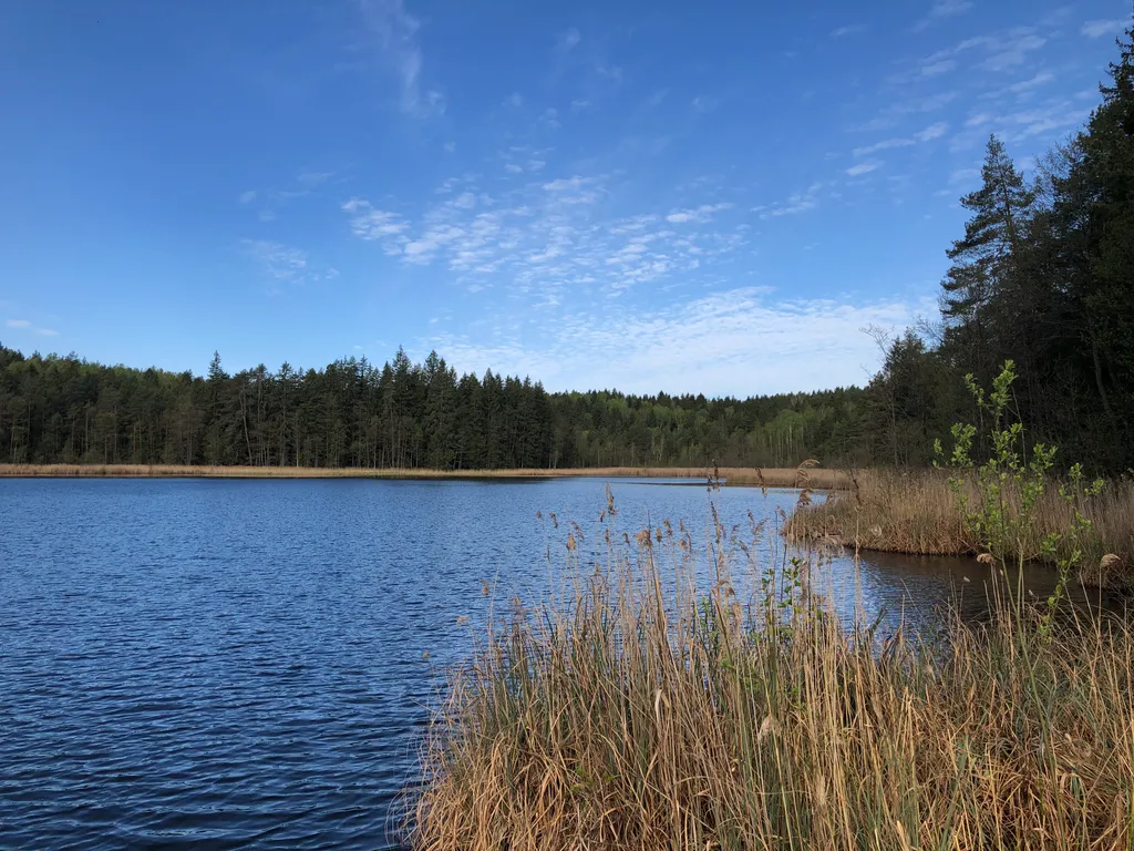 Дом у реки Лынтупка