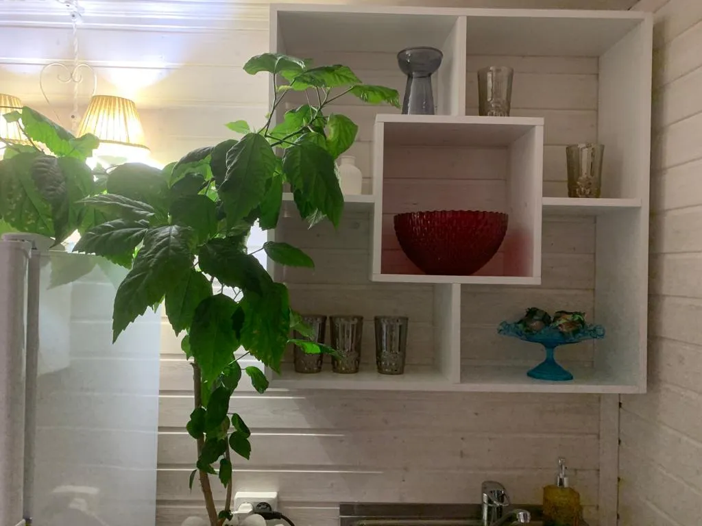 Уютный домик на берегу Пахры с настоящей русской баней