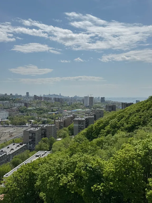 Квартира Новая квартира с красивым видом на лес и море — Владивосток