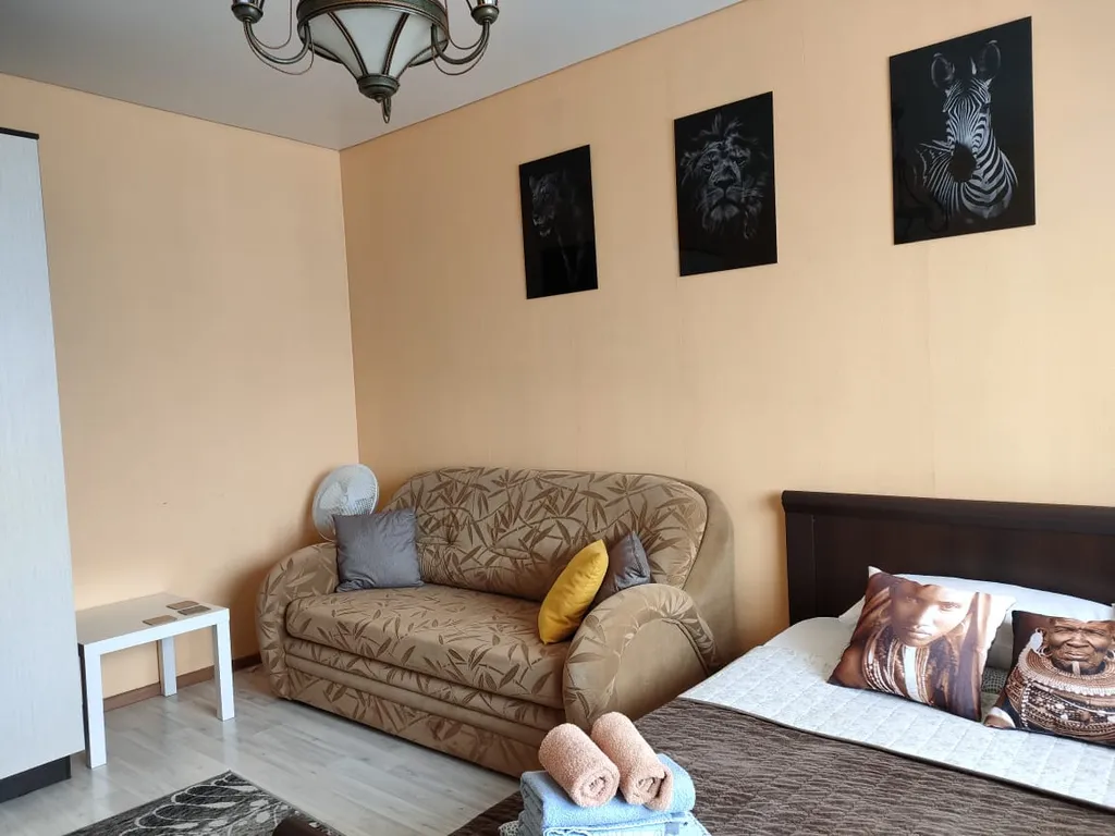 Уютная однокомнатная квартира