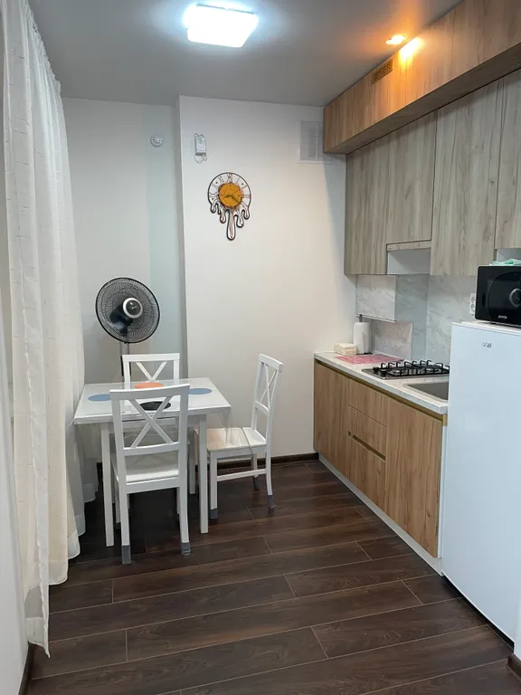 Душевная квартира-студия — аренда посуточно в Светлогорск