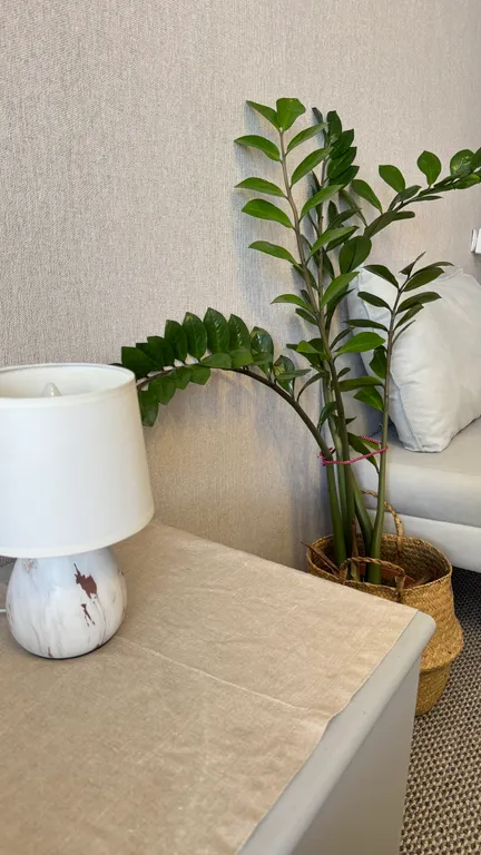 Квартира Светлая, уютная, чистая однокомнатная квартира в Заволжском районе — Ярославль