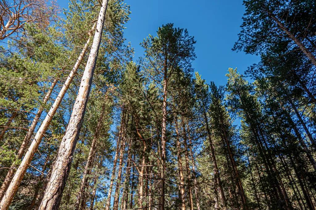 Просторная квартира