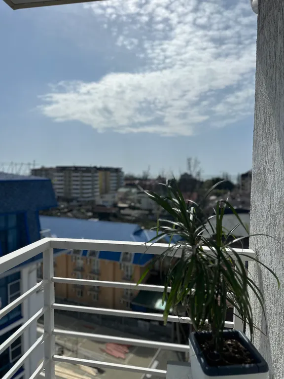 Квартира Просторная светлая квартира — Сириус