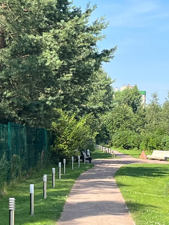 Большая квартира с зонированием и с видом на лес