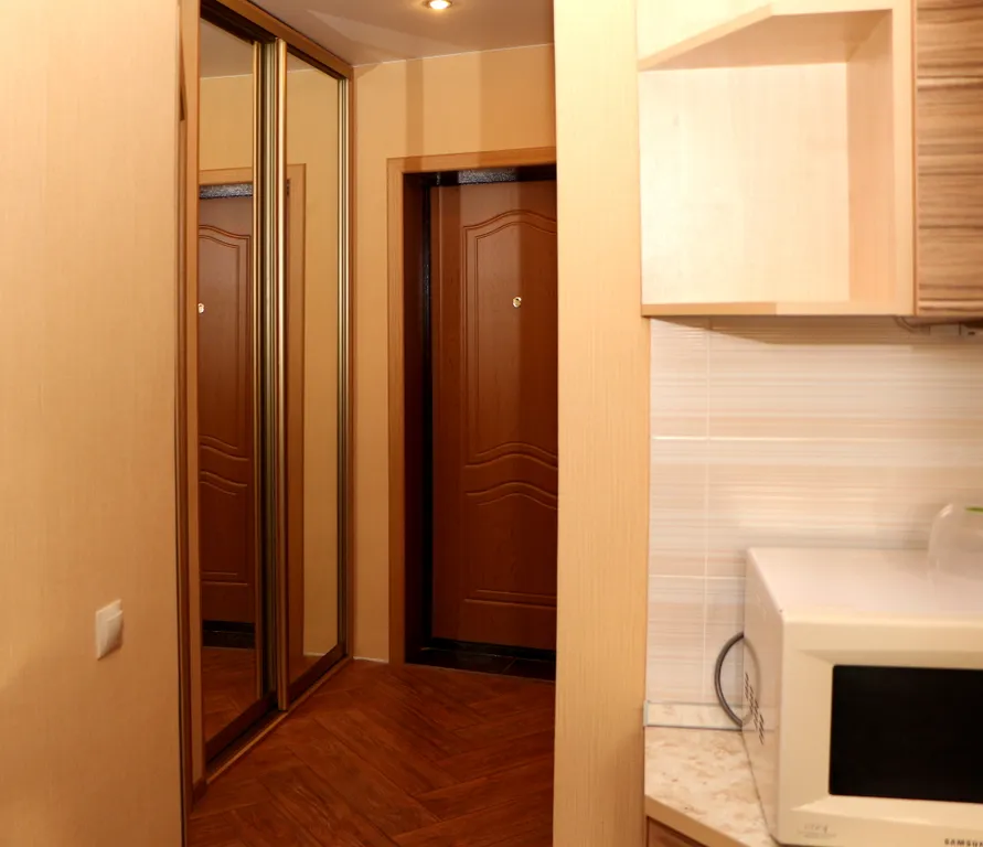 Однушка с балконом и кондиционером в центре