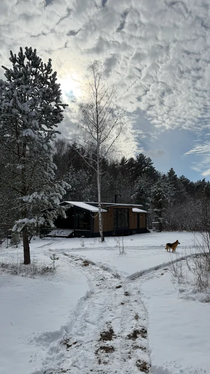 Уютный домик с горячей купелью, в окружении соснового леса