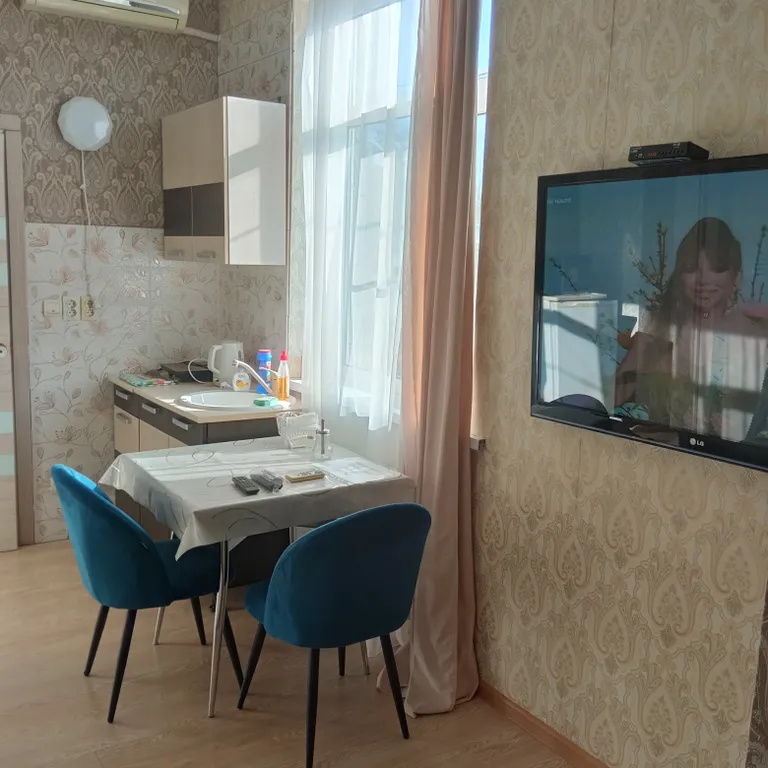 Квартира-студия в центре города