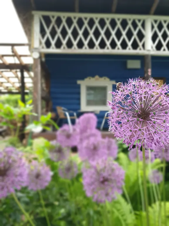 1-комнатный Дом