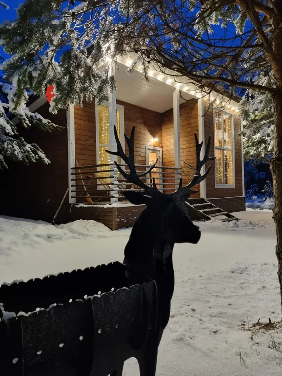 Уютный дом в лесу с Банным Чаном и Сауной