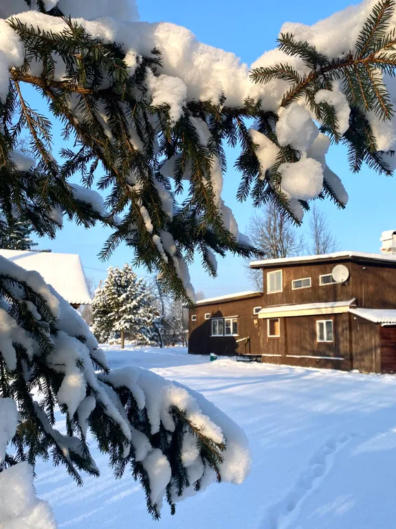 Дом и баня на участке 40 соток