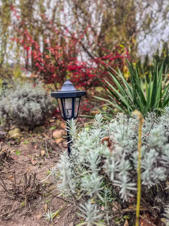 Усадьба со всеми удобствами