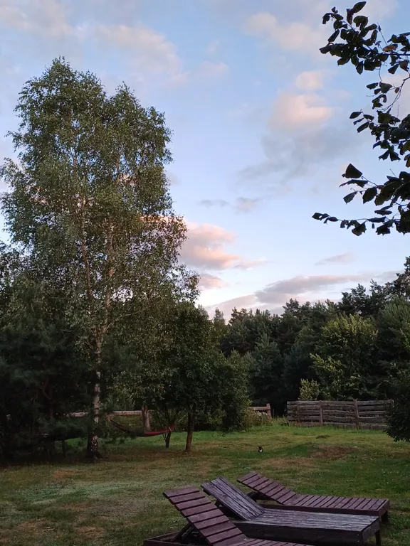 Уютный домик в Беловежской пуще, для тех, кто ценит тишину