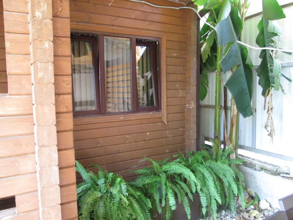 Дом в Олимпийском парке