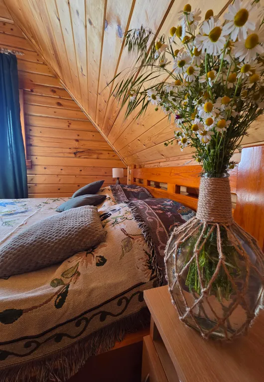 База отдыха Лесная дача