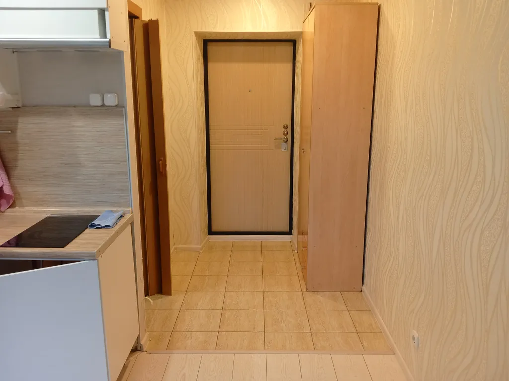 Квартира студия в районе цирка